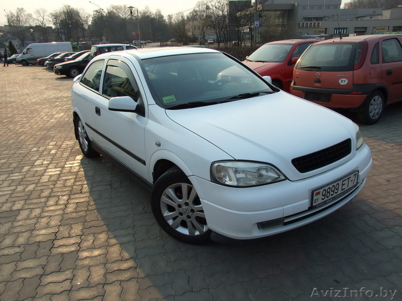 Ищу хорошего хозяина для совей Астрочки! - Изображение #3, Объявление #60157