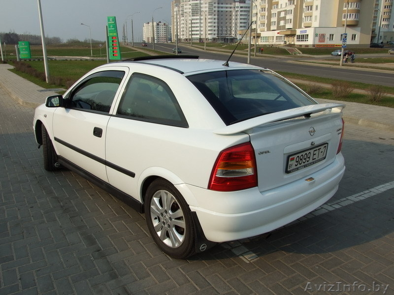 Ищу хорошего хозяина для совей Астрочки! - Изображение #2, Объявление #60157