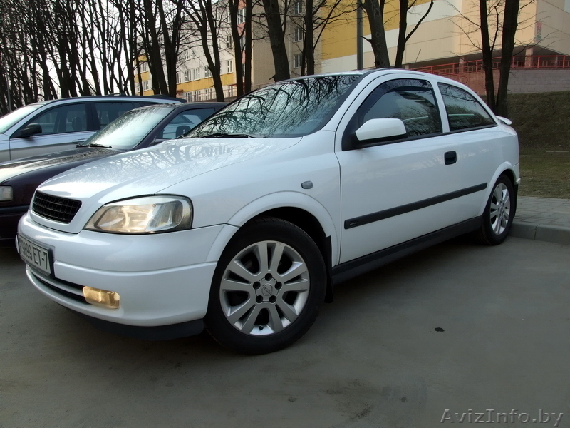 Ищу хорошего хозяина для совей Астрочки! - Изображение #1, Объявление #60157