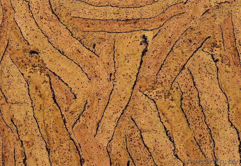 Ваш салон Паркета и Дверей, ООО - Изображение #1, Объявление #49404