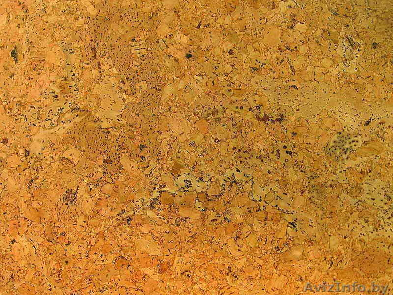 Ваш салон Паркета и Дверей, ООО - Изображение #2, Объявление #49404