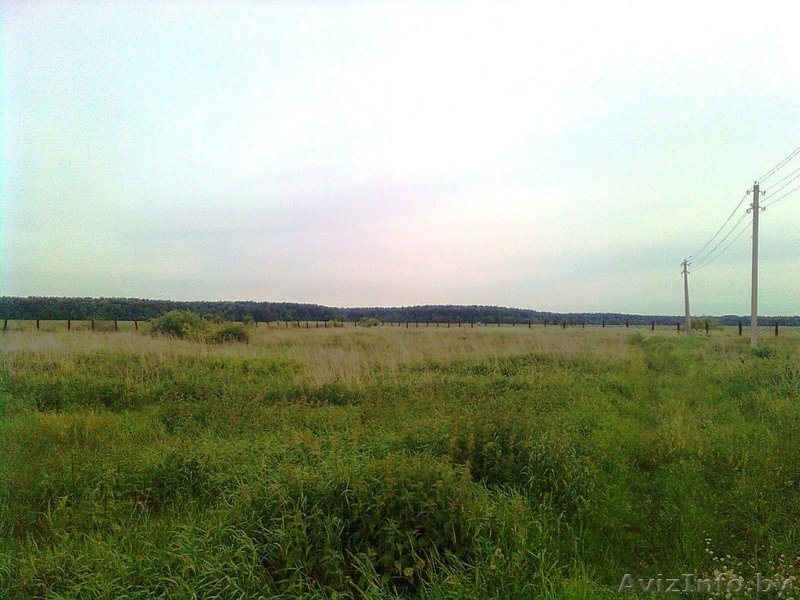 Дачный участок, д. Кулики (рядом), 21 сотка, 5950 у.е. - Изображение #1, Объявление #52072