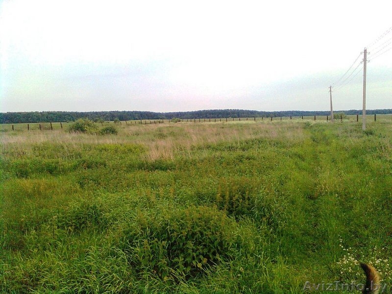 Дачный участок, д. Кулики (рядом), 21 сотка, 5950 у.е. - Изображение #2, Объявление #52072