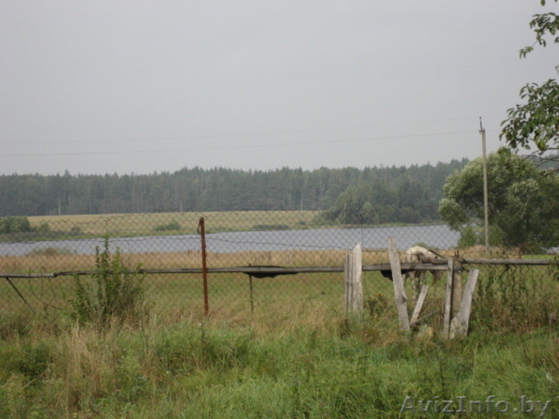 Продаю   дом, в село Ведрица!  - Изображение #3, Объявление #53269