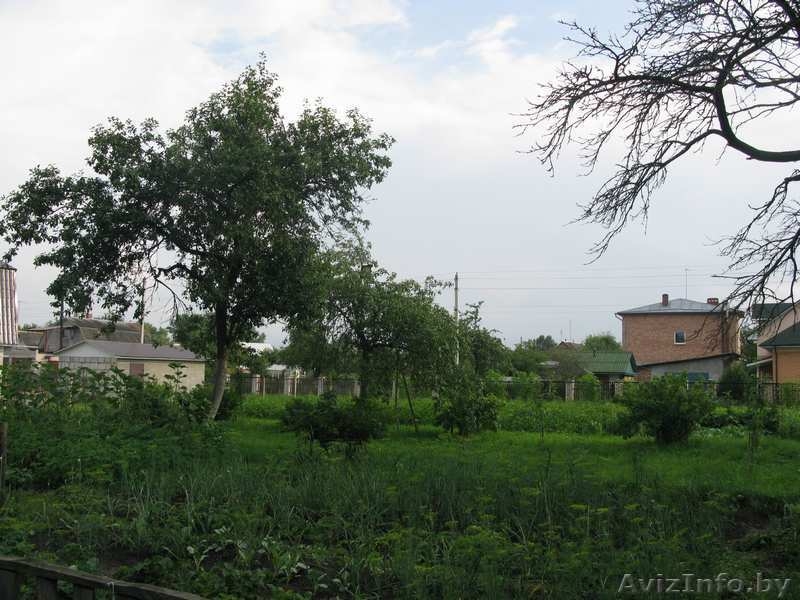 Дом 20 соток земли Все приватизировано - Изображение #3, Объявление #50854