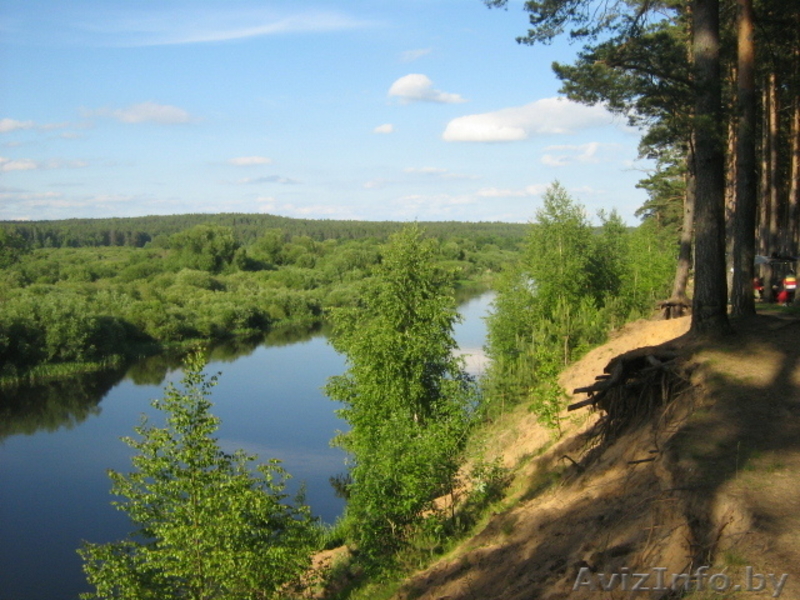 Участок в д.Гливин Борисовский район - Изображение #1, Объявление #54388