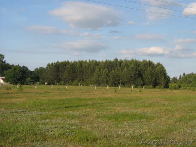 Участок в д.Гливин Борисовский район - Изображение #4, Объявление #54388