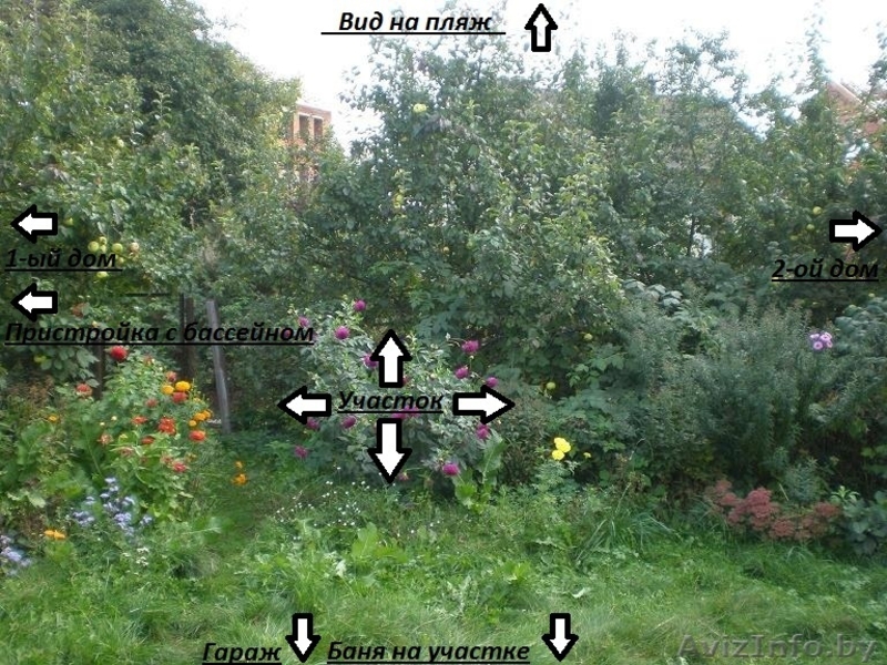 Продам коттедж в Минске (Цна) - Изображение #4, Объявление #48067