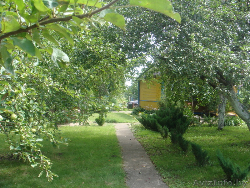           Продаю дачу - Изображение #2, Объявление #63462