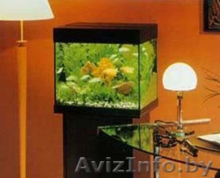 Аквармум новый на 30 и 50 литров с крышкой-подсветкой   - Изображение #3, Объявление #68720