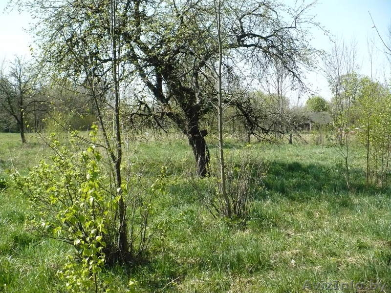 Участок с ветхим домом - Изображение #1, Объявление #69392