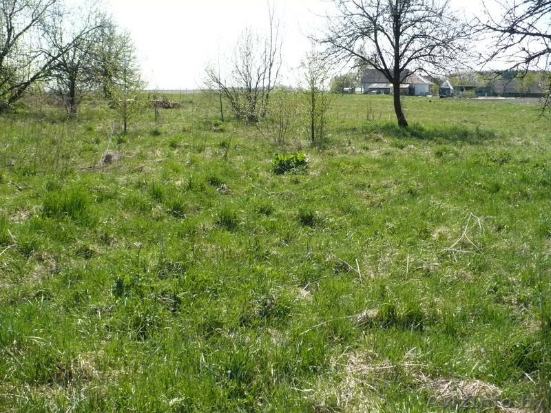 Участок с ветхим домом - Изображение #3, Объявление #69392