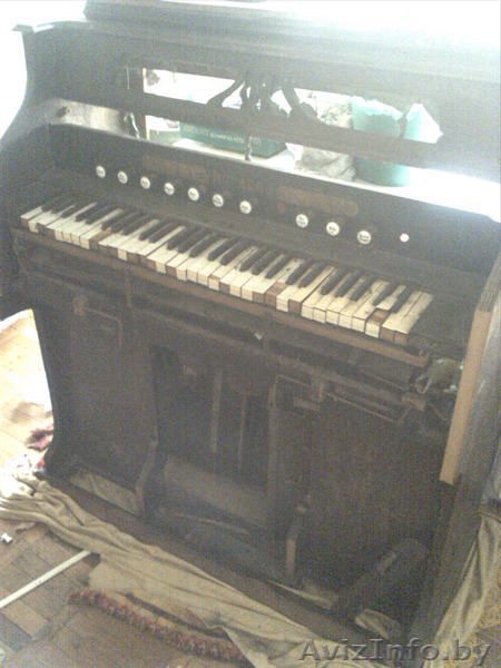 орган HOFBERG малый 1913 г выпуска - Изображение #1, Объявление #61020