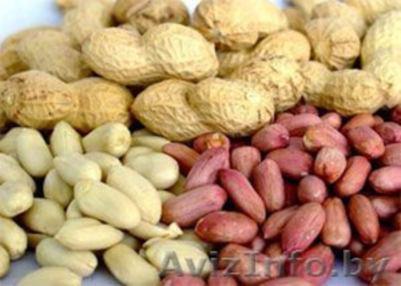 продукция арахиса и изюм, подсолнечное и другие продукты орех - Изображение #4, Объявление #77855