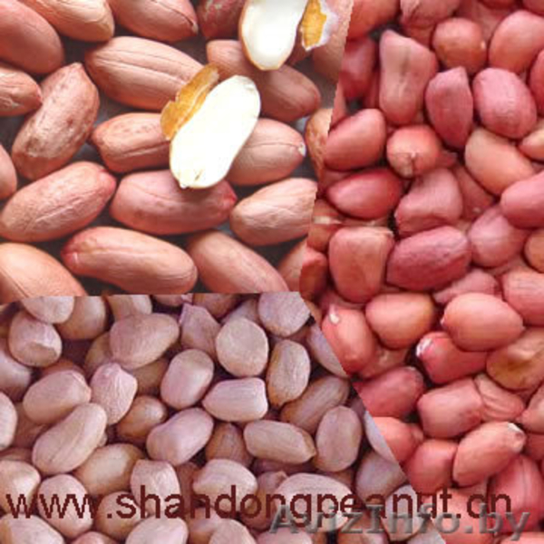 продукция арахиса и изюм, подсолнечное и другие продукты орех - Изображение #3, Объявление #77855