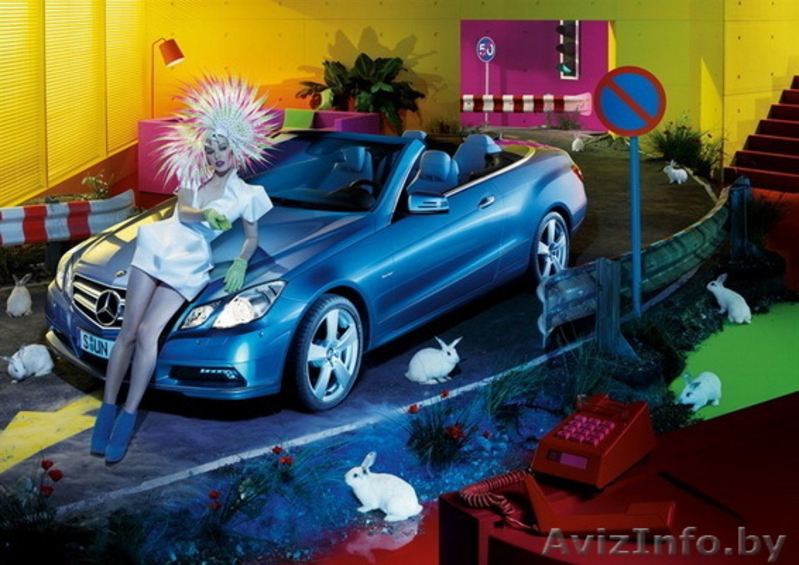 продам декоротивного кролика - Изображение #1, Объявление #91979