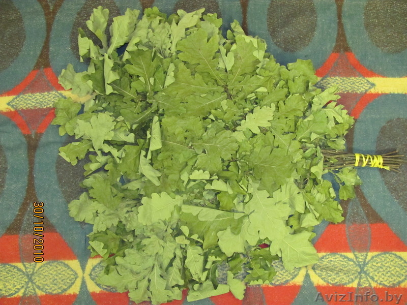 веники для бани береза дуб - Изображение #2, Объявление #102015