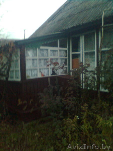  Минская обл. Пуховичский р-н д. Cедча - Изображение #2, Объявление #111341