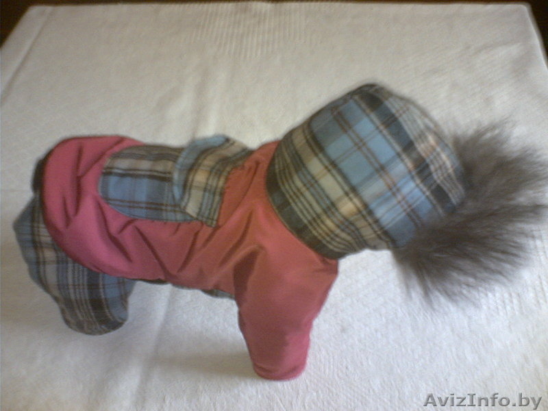 ОДЕЖДА ДЛЯ КОТОВ И СОБАК - Изображение #3, Объявление #105963
