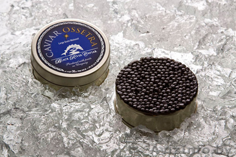 Икра осетровых рыб - Изображение #4, Объявление #128462