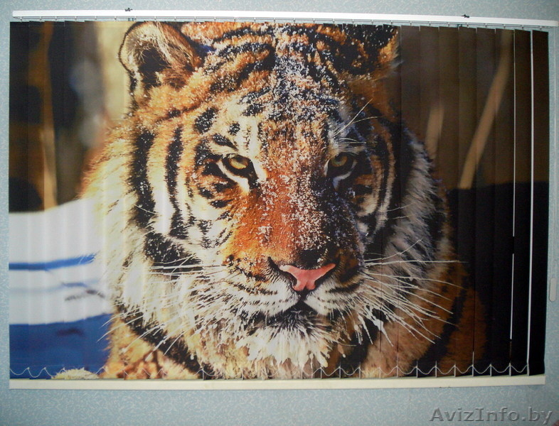 Фотожалюзи в Минске - Изображение #5, Объявление #131383