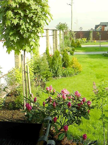 Обрезка деревьев, уход за садом, профессионально, недорого. - Изображение #2, Объявление #139255