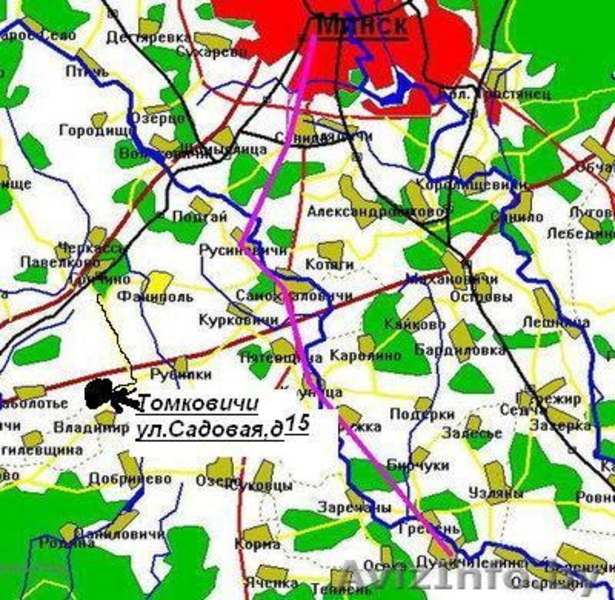 Саженцы яблони, смородины, малины, груши, вишни, черешни, абрикоса, крыжовника и - Изображение #9, Объявление #146881
