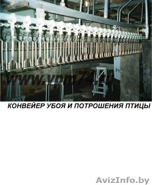 Оборудование для мясопереработки - Изображение #2, Объявление #136944