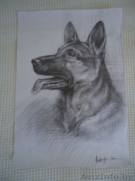 Художник-анималист - Изображение #3, Объявление #148327