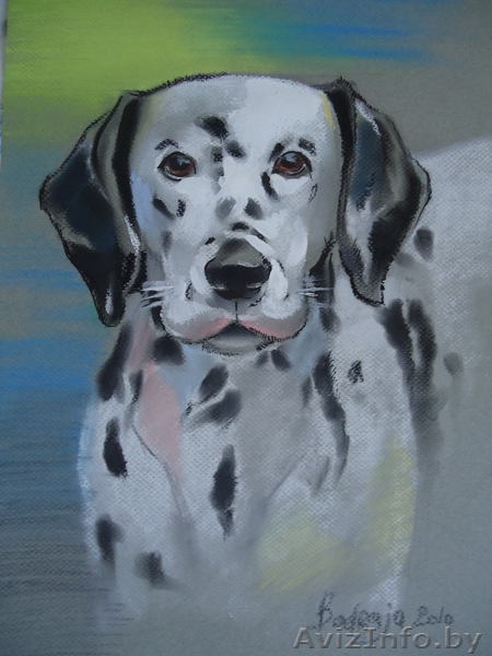 Художник-анималист - Изображение #1, Объявление #148327