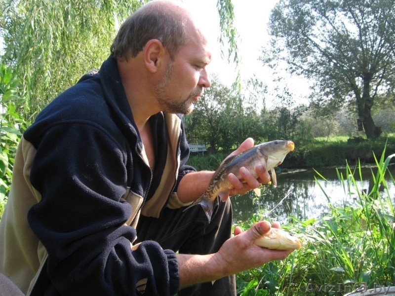 Дом в Усадьбе - Изображение #5, Объявление #149933