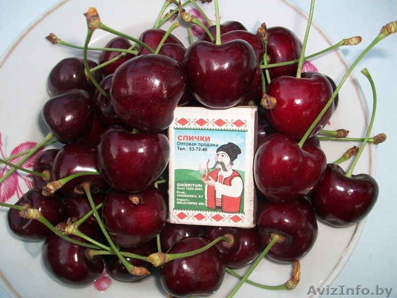 саженцы -ФРУКТОВЫЕ - Изображение #9, Объявление #179921