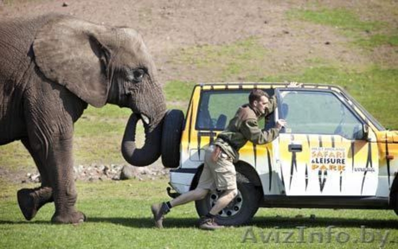 ЭВАКУАТОР ДЕШЕВО! ЭВАКУАЦИЯ ЛЕГКОВЫХ АВТОМОБИЛЕЙ, ДЖИПОВ, МИКРОАВТОБУСОВ - Изображение #6, Объявление #168682
