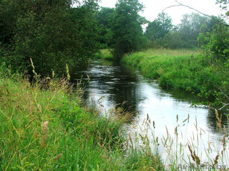 Продам участок д. Загорье,  25 км от Минск, Логойский район, 20 соток - Изображение #1, Объявление #173234