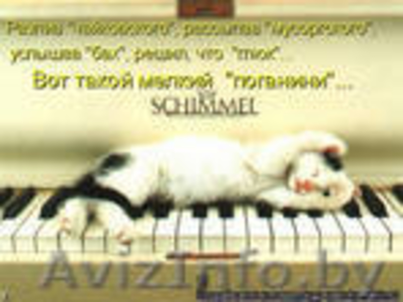 пианино рояли настройка 44 7387838 - Изображение #1, Объявление #159082