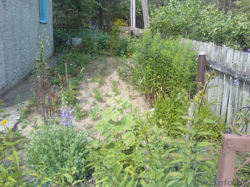 продам дачу 80 километров от Минска - Изображение #5, Объявление #177922