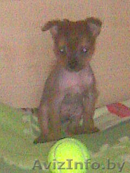 не пожалеете спешите! - Изображение #2, Объявление #159396