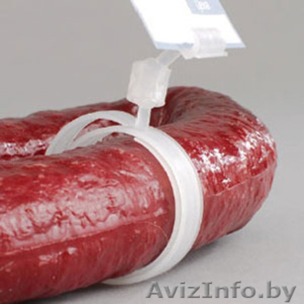 Ценникодержатели, Рамки А4 для акций, монетницы - Изображение #2, Объявление #160485