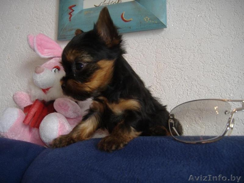 Таня Хрущ  1970 - Изображение #1, Объявление #161616