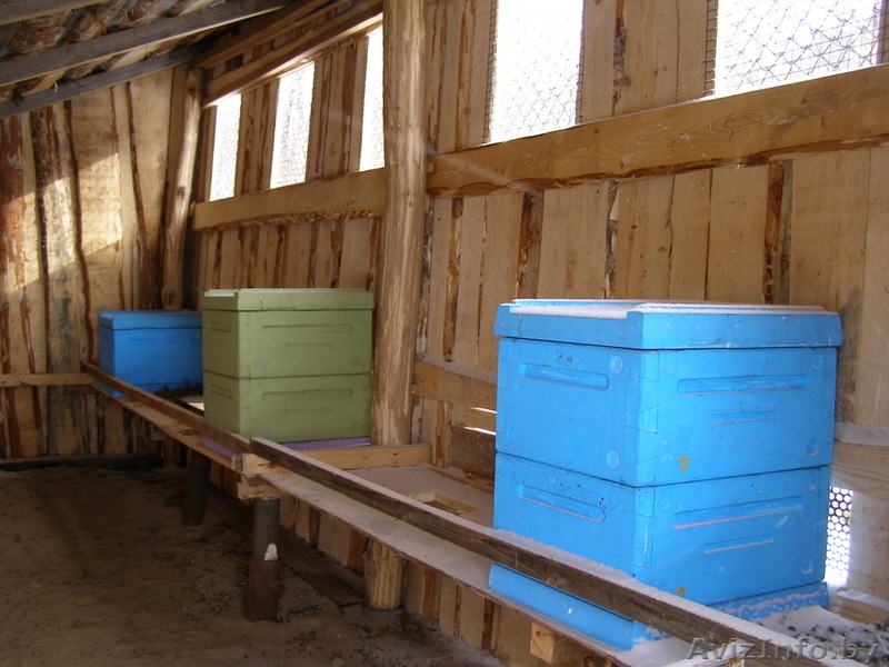 Ульи пчелиные, рамки для сбра сотового секционного меда, сеточки холстики книги - Изображение #2, Объявление #162059