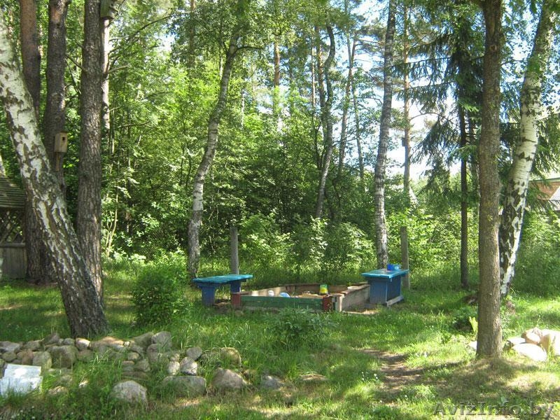 Усадьба Минск 20 км от МКАД Живописное место! Вековые сосны на территории. - Изображение #4, Объявление #205230