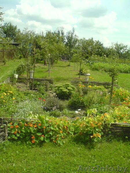 Продам дачу Моск. напр. 85 км от МКАД, дом-сруб, уч. 10. соток - Изображение #2, Объявление #200323