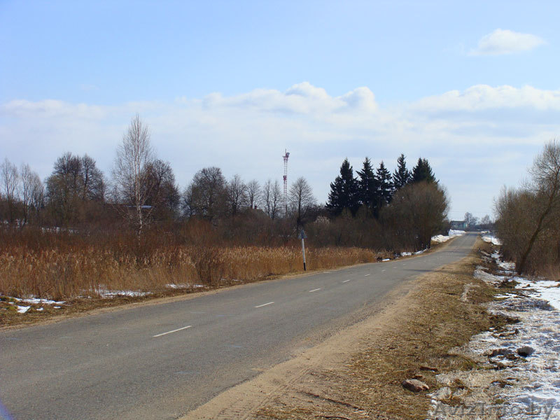 Хутор в Гродн.обл. д.Каменка - Изображение #8, Объявление #191348