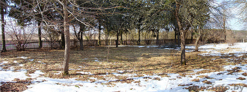 Хутор в Гродн.обл. д.Каменка - Изображение #4, Объявление #191348