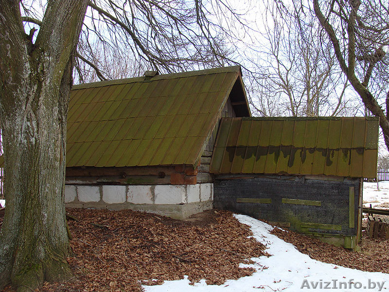 Хутор в Гродн.обл. д.Каменка - Изображение #10, Объявление #191348