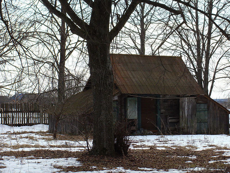 Хутор в Гродн.обл. д.Каменка - Изображение #9, Объявление #191348