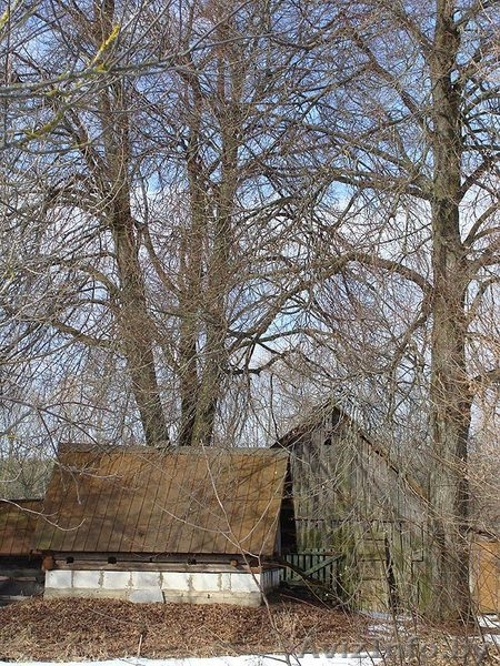 Хутор в Гродн.обл. д.Каменка - Изображение #6, Объявление #191348