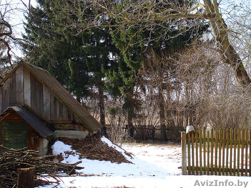 Хутор в Гродн.обл. д.Каменка - Изображение #2, Объявление #191348