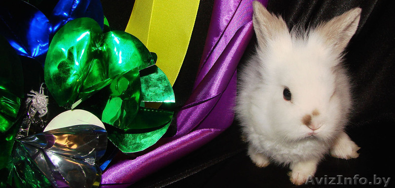 Клоуны, ростовые куклы и др. подарят Вам волшебный праздник! - Изображение #3, Объявление #212791