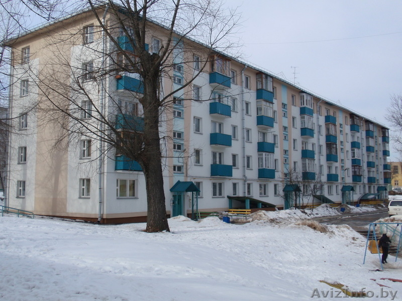 3-х комнатная квартира с отличным ремонтом - Изображение #5, Объявление #200040